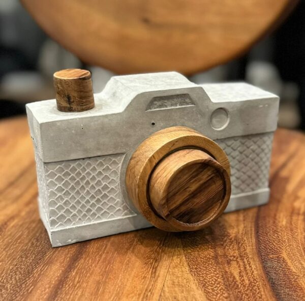 Cámara con Madera Concret